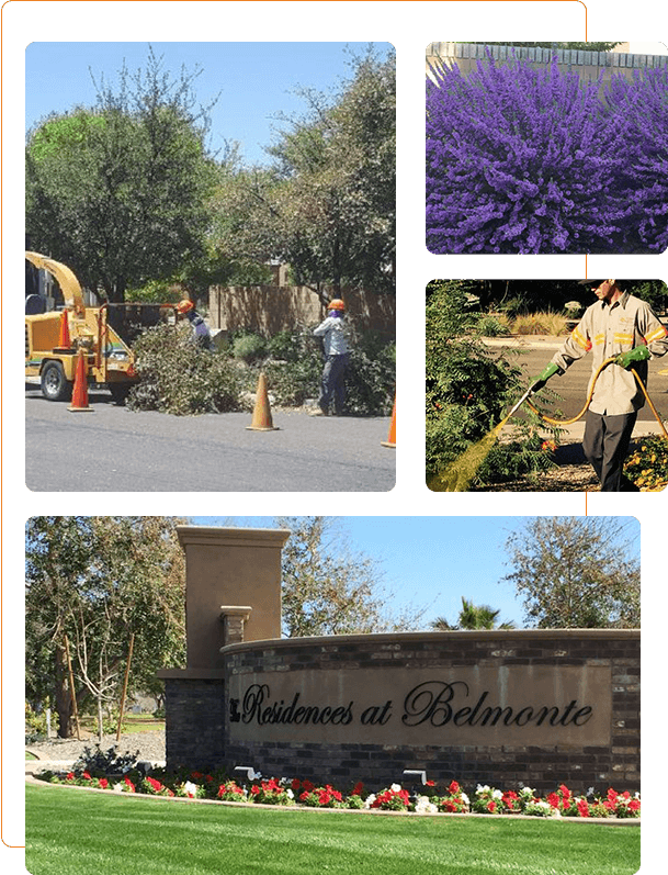 Sundance Landscape Maintenance INC