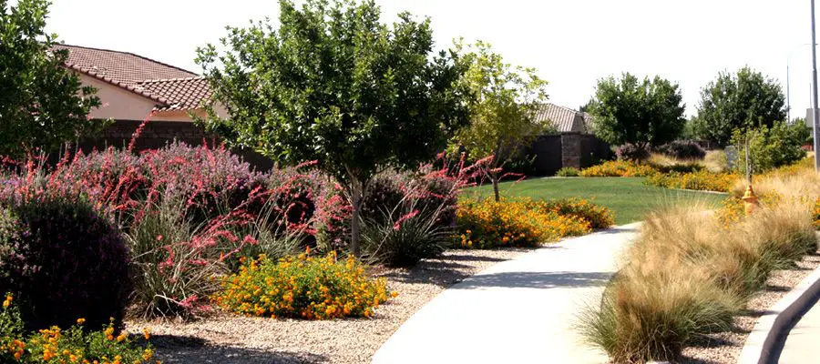 Sundance Landscape Maintenance INC